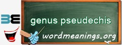 WordMeaning blackboard for genus pseudechis